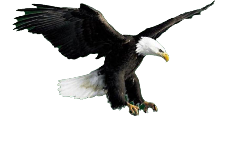 Departamento Pessoal - Fiscontabil e Organização Empresarial